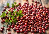 Czerwona fasola – właściwości zdrowotne i wartości odżywcze Czerwona fasola – właściwości zdrowotne i wartości odżywcze