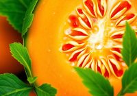 Melon – zdrowotne właściwości i korzyści dla organizmu