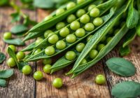 Groch zielony – zdrowotne właściwości i jak wprowadzić go do diety