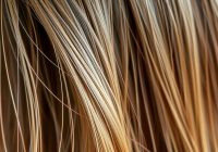 Zniszczone włosy od stylizacji: przyczyny, skutki i pielęgnacja Zniszczone włosy od stylizacji: przyczyny, skutki i pielęgnacja