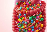 Mikrobiom: co to jest i jak wpływa na zdrowie jelit? Mikrobiom: co to jest i jak wpływa na zdrowie jelit?